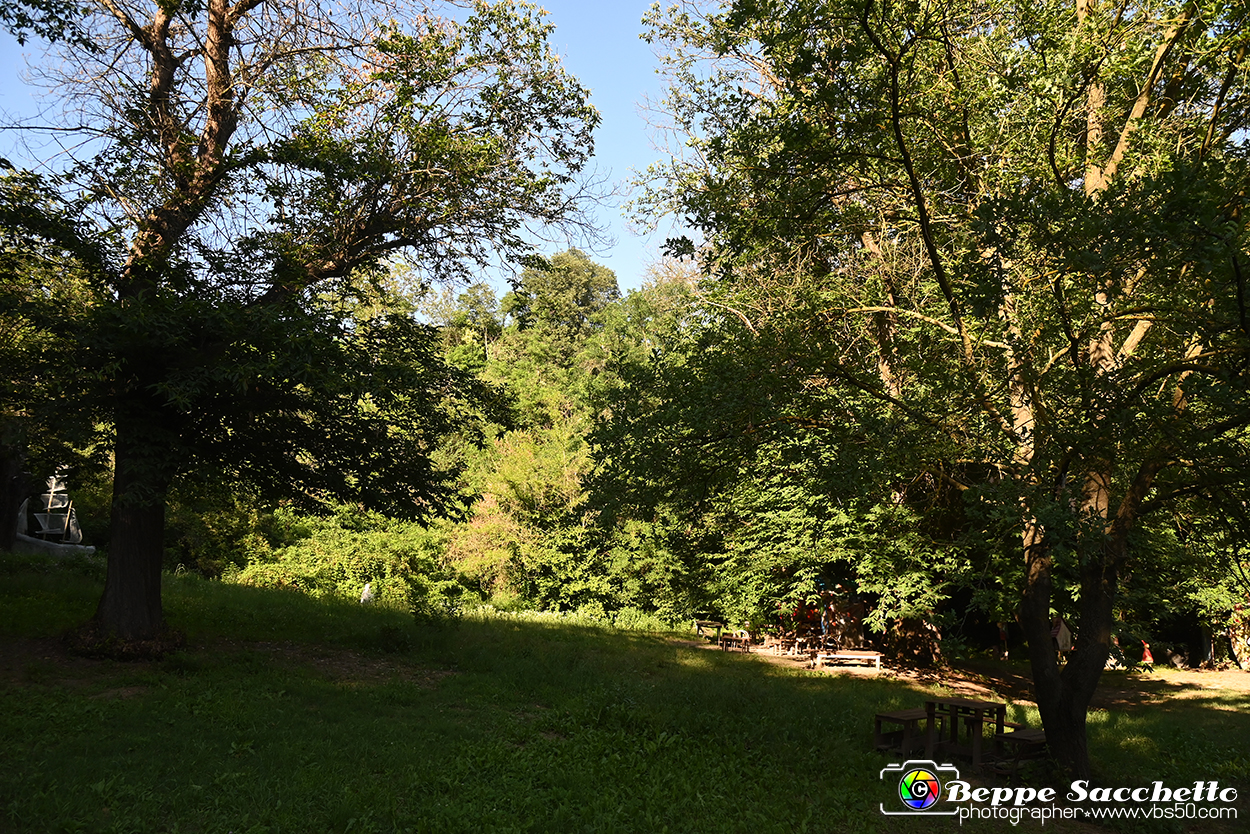 VBS_4869 - Il bosco fatato - Montaldo Roero.jpg